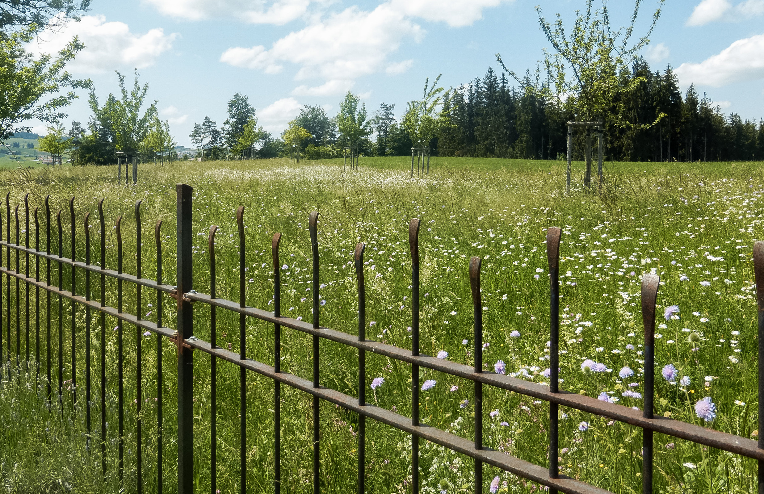 Geschmiedeter Gartenzaun