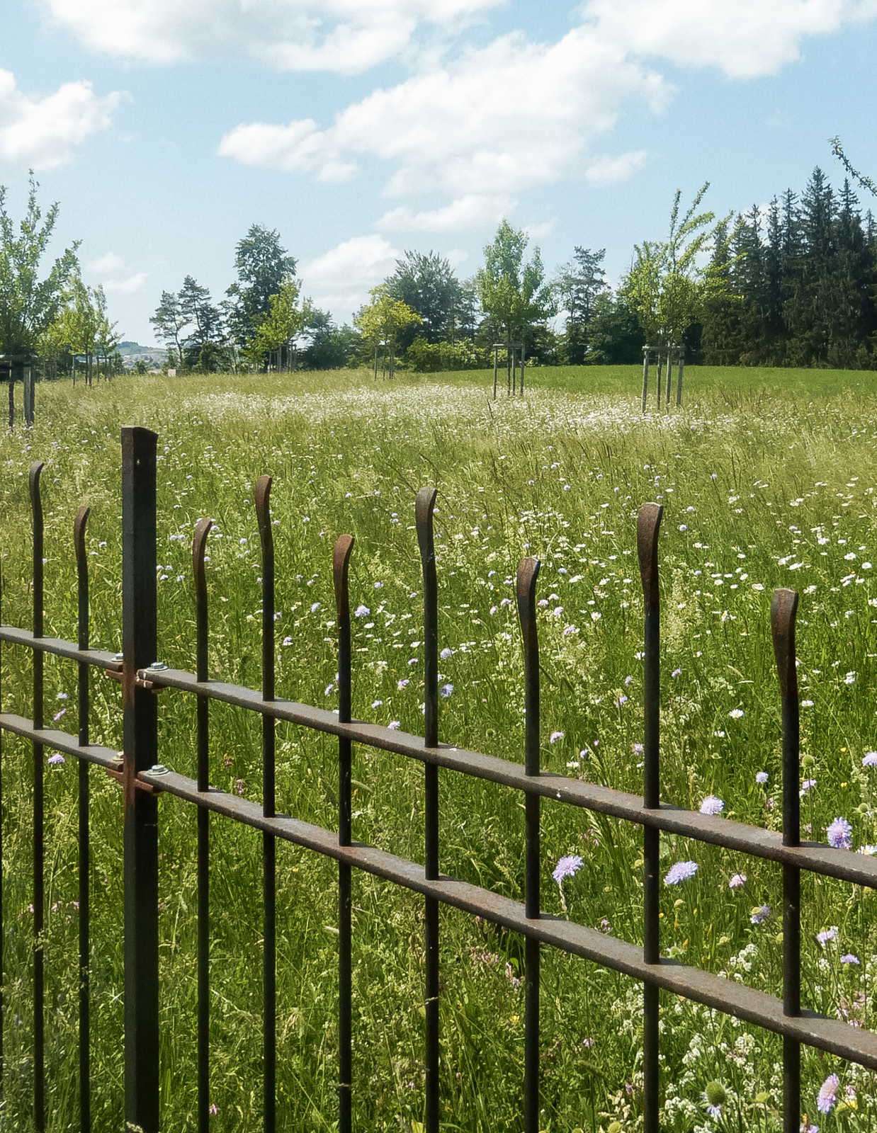 Geschmiedeter Gartenzaun