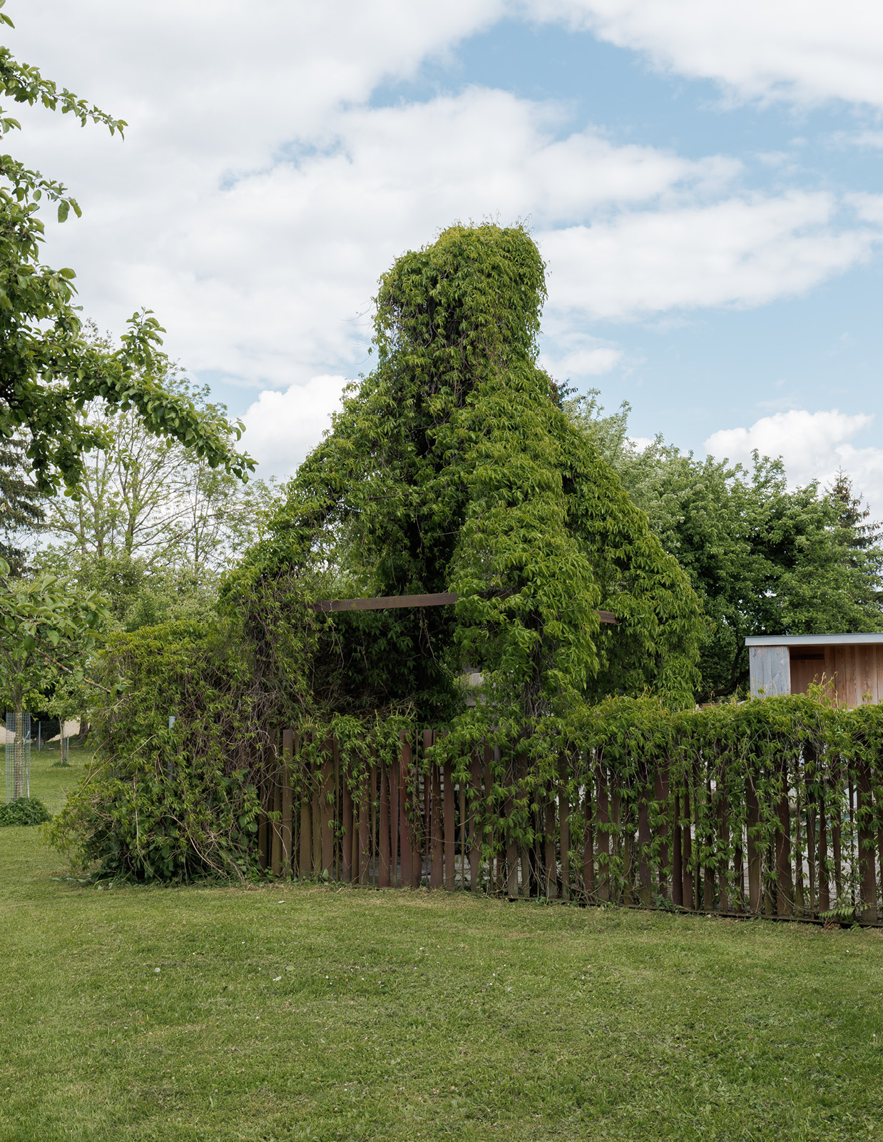 Pavillon und dynamischer Gartenzaun